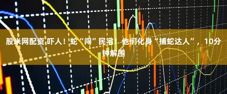 股米网配资 吓人！蛇“闯”民宅！他们化身“捕蛇达人”，10分钟解围