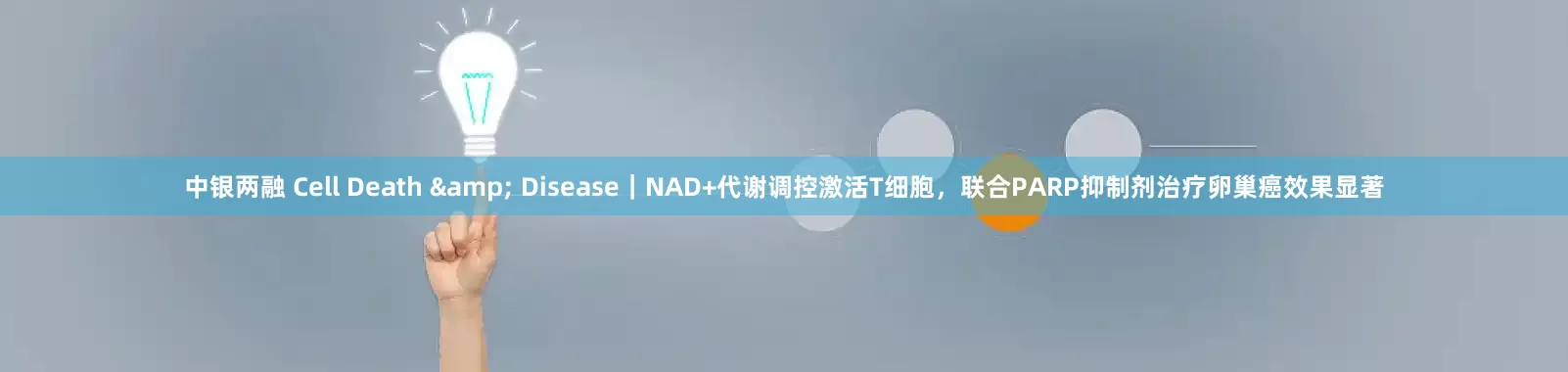 中银两融 Cell Death & Disease｜NAD+代谢调控激活T细胞，联合PARP抑制剂治疗卵巢癌效果显著